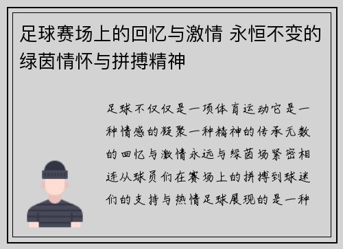 足球赛场上的回忆与激情 永恒不变的绿茵情怀与拼搏精神