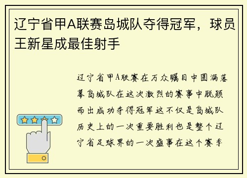 辽宁省甲A联赛岛城队夺得冠军，球员王新星成最佳射手