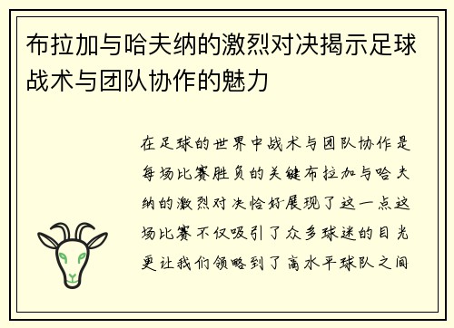 布拉加与哈夫纳的激烈对决揭示足球战术与团队协作的魅力