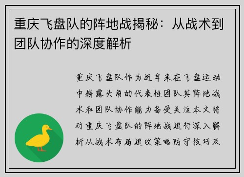 重庆飞盘队的阵地战揭秘：从战术到团队协作的深度解析
